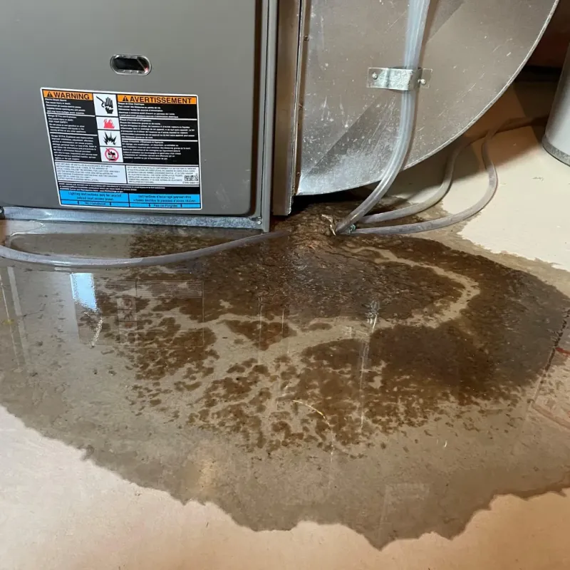 Appliance Leak Cleanup in South Rockwood, MI