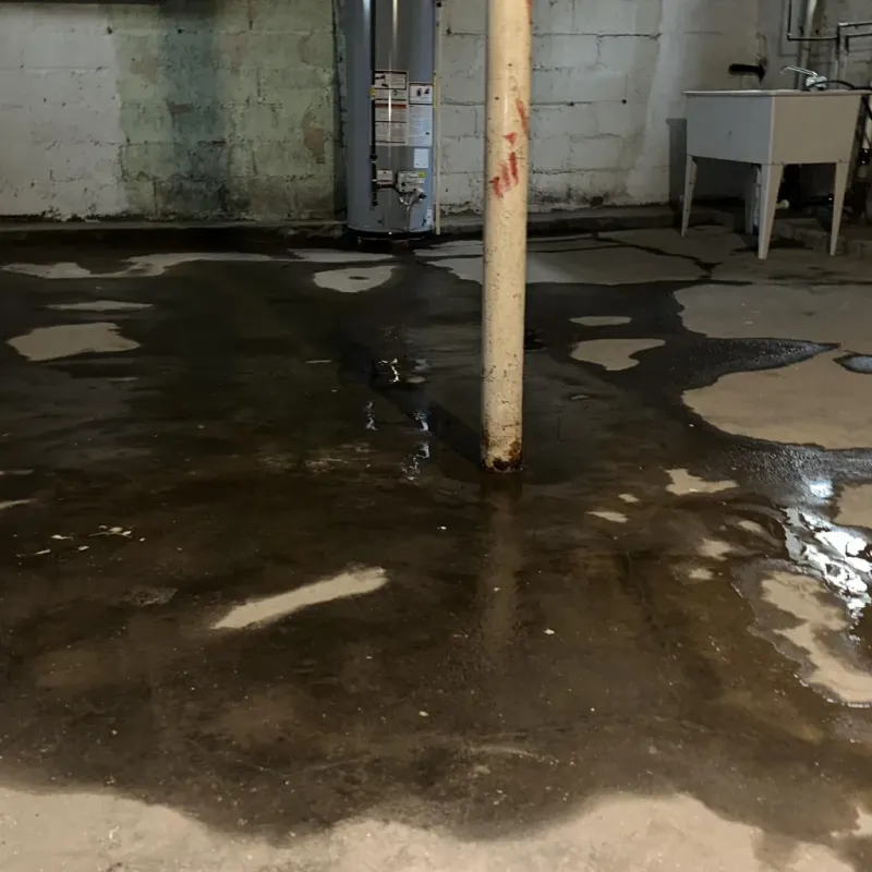 Emergency Water Extraction And Removal in South Rockwood, MI